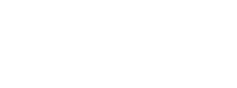 The Style Den